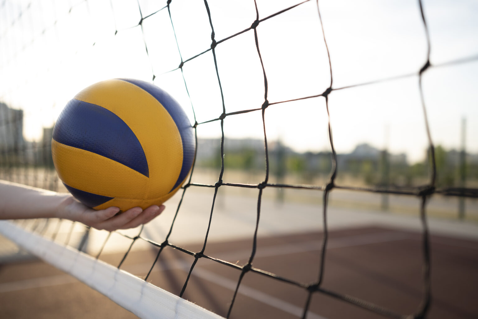 Grandes Atletas do Vôlei Brasileiro: História e Legado grandes-atletas-volei-brasil