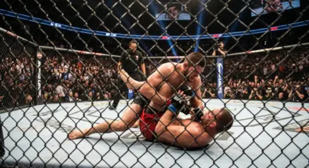 O Que é MMA Entenda o Esporte Completo